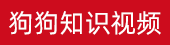 吃什么补肾最快最好ads2